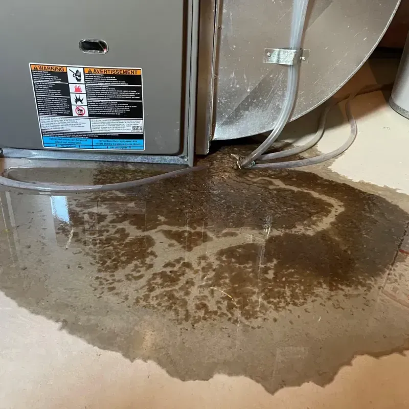 Appliance Leak Cleanup in Harrisonburg, VA